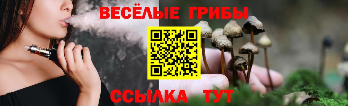 сколько стоит  Галлюциногенные грибы Psilocybe  Вход с VPN  Кизляр 